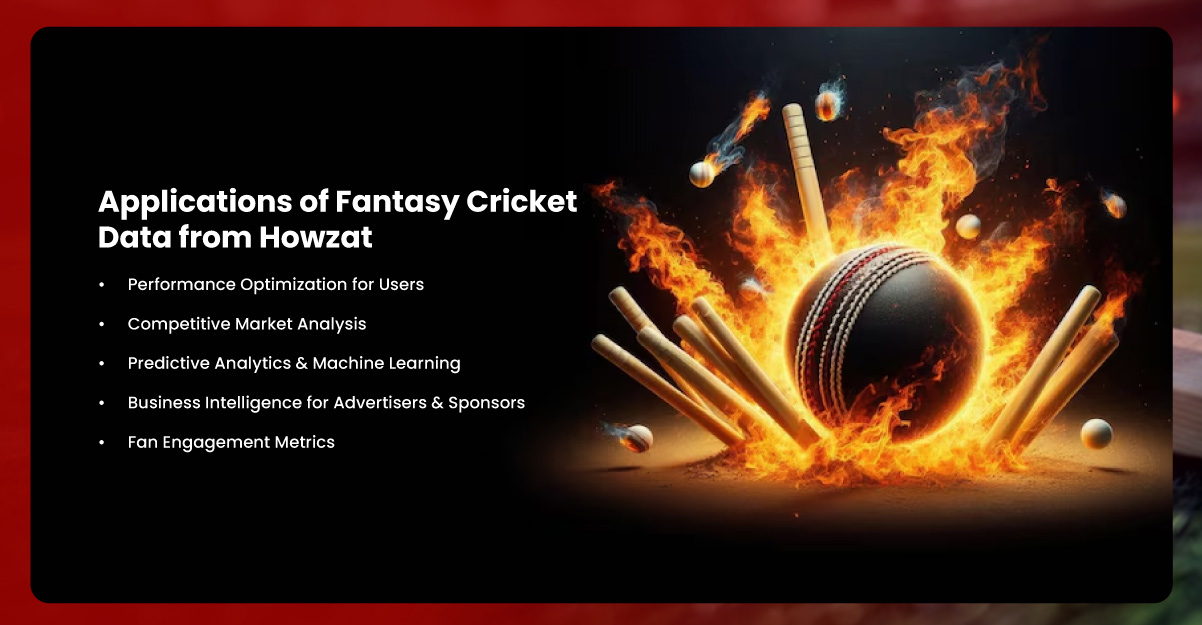 Applications-of-Fantasy-Cricket-Data-from-Howzat