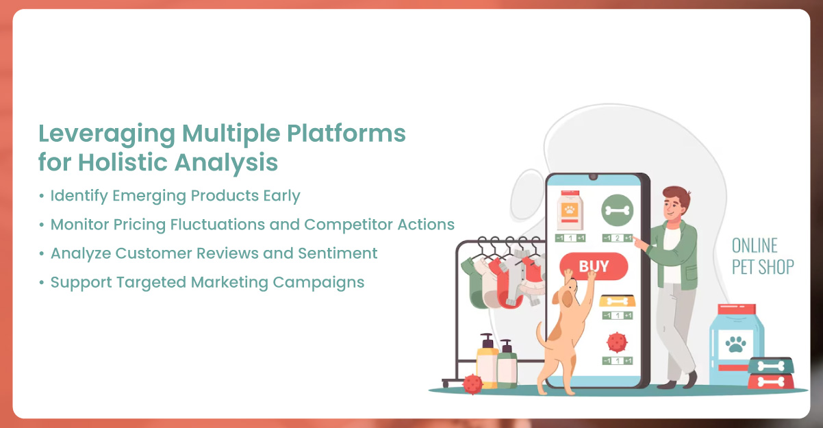 Leveraging-Multiple-Platforms-for-Holistic-Analysis