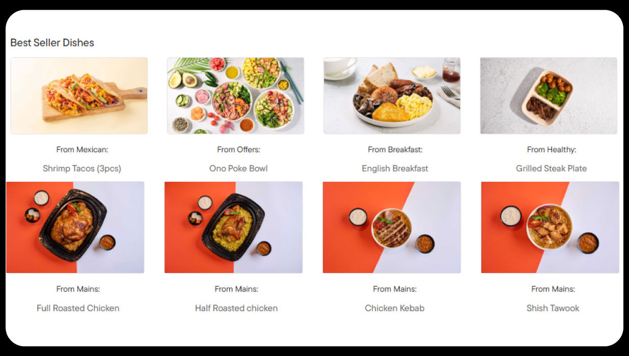 Objectives-of-the-Report