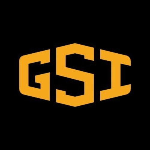 GSI_USA