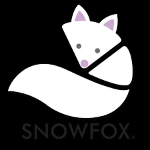 Snow_Fox_USA